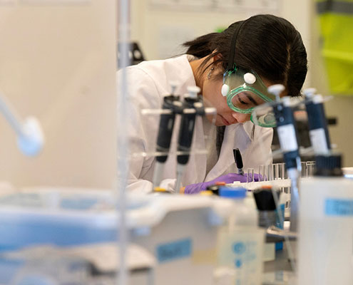 Preparing Leaders in Bioindustrial Engineering To Tackle Food Security and Sustainability